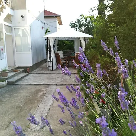 Lili Apartment In Zadar Pet Friendly, Free Parking Exterior photo