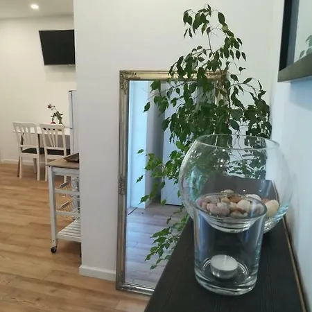 Lili Apartment In Zadar Pet Friendly, Free Parking Exterior photo